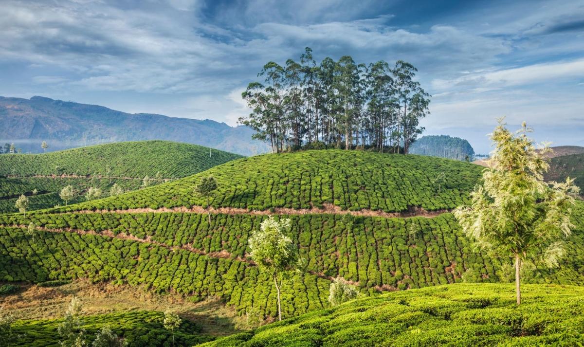 Kerala Amazing Trails