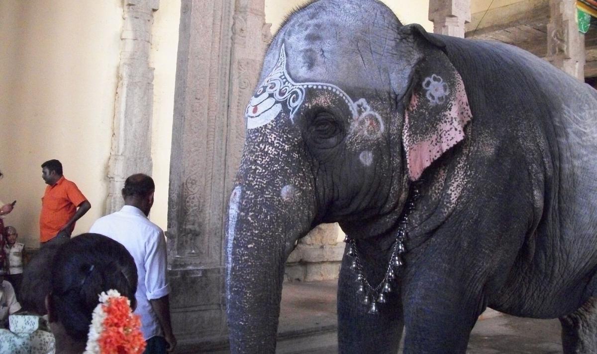 Southern India Wonders Trail