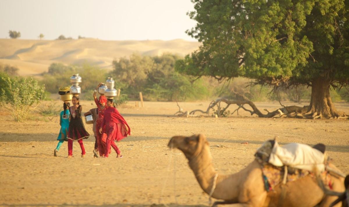 Rajasthan Iconic Trails