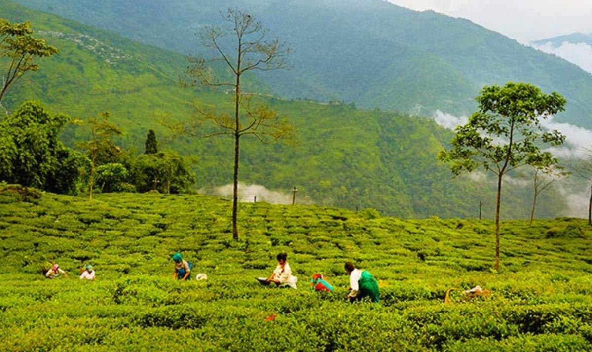 Eastern Himalaya Trails
