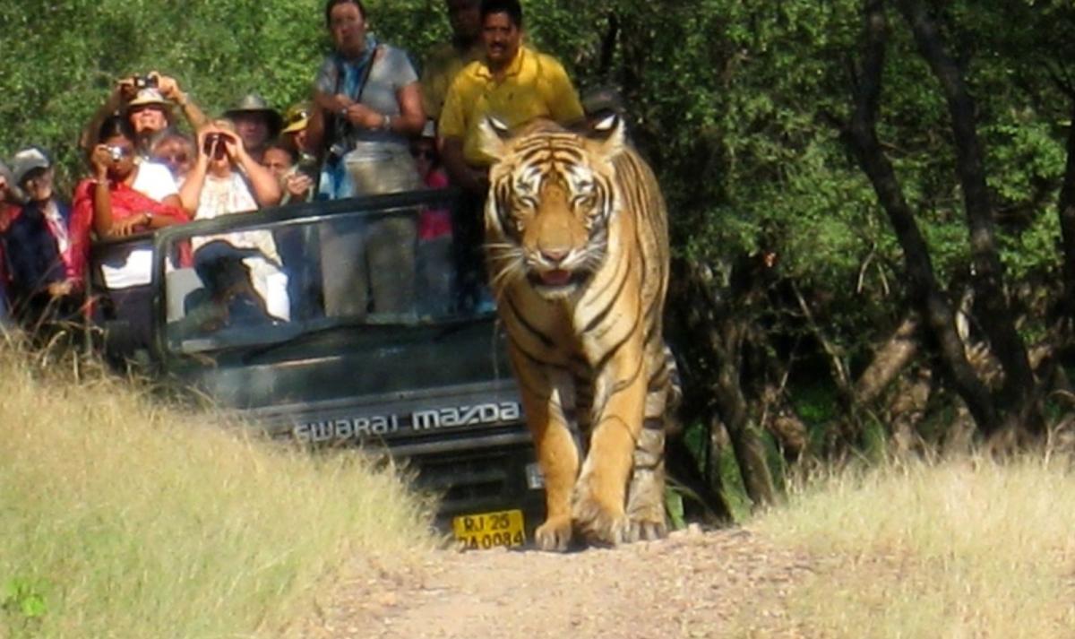 19-Day Grand India Heritage & Wildlife Safari: Mumbai to Ranthambore via Rajasthan
