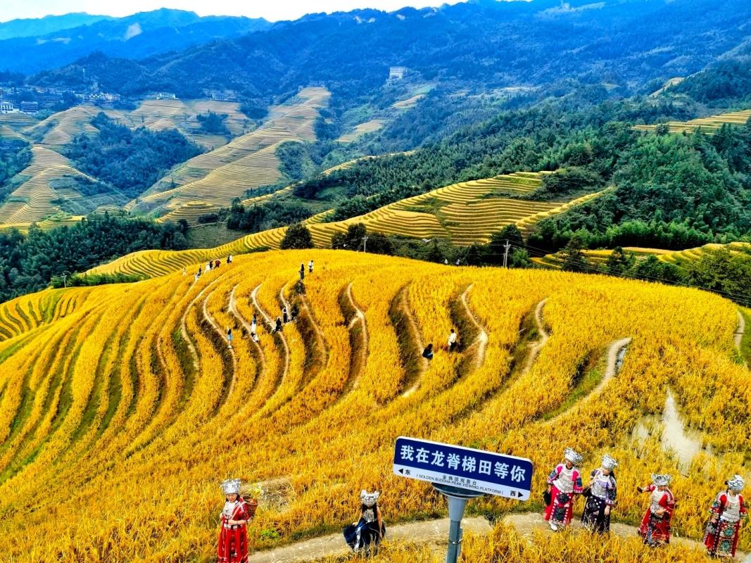 Private Day Tour to Longji Rice Terraces with Cable Car from Guilin