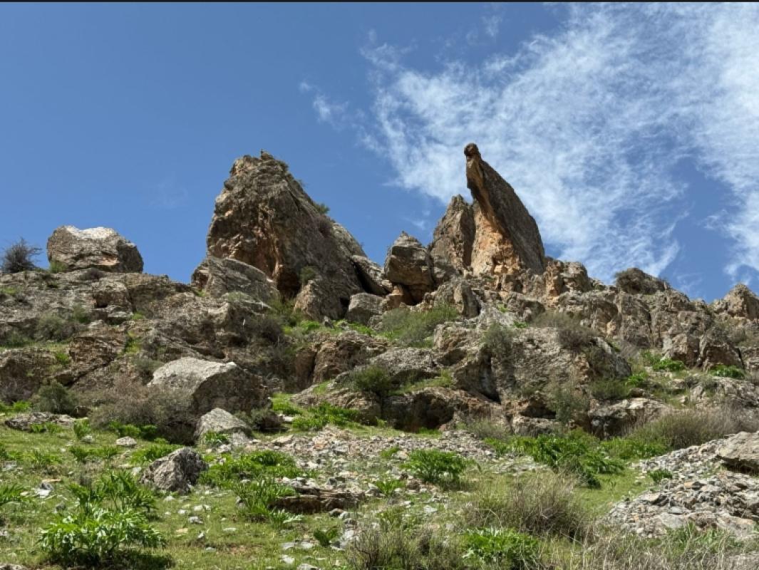Blooming Mountains of Samarkand: Nature, Traditions & Local Life near Samarkand