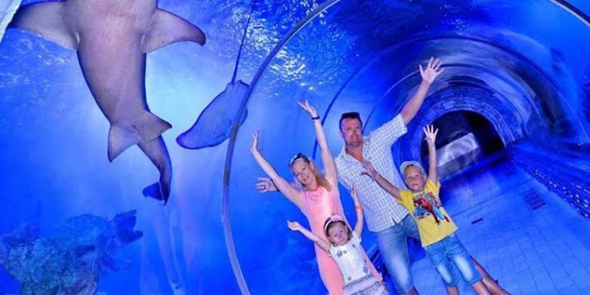 Hurghada Grand Aquarium Marine Life Experience