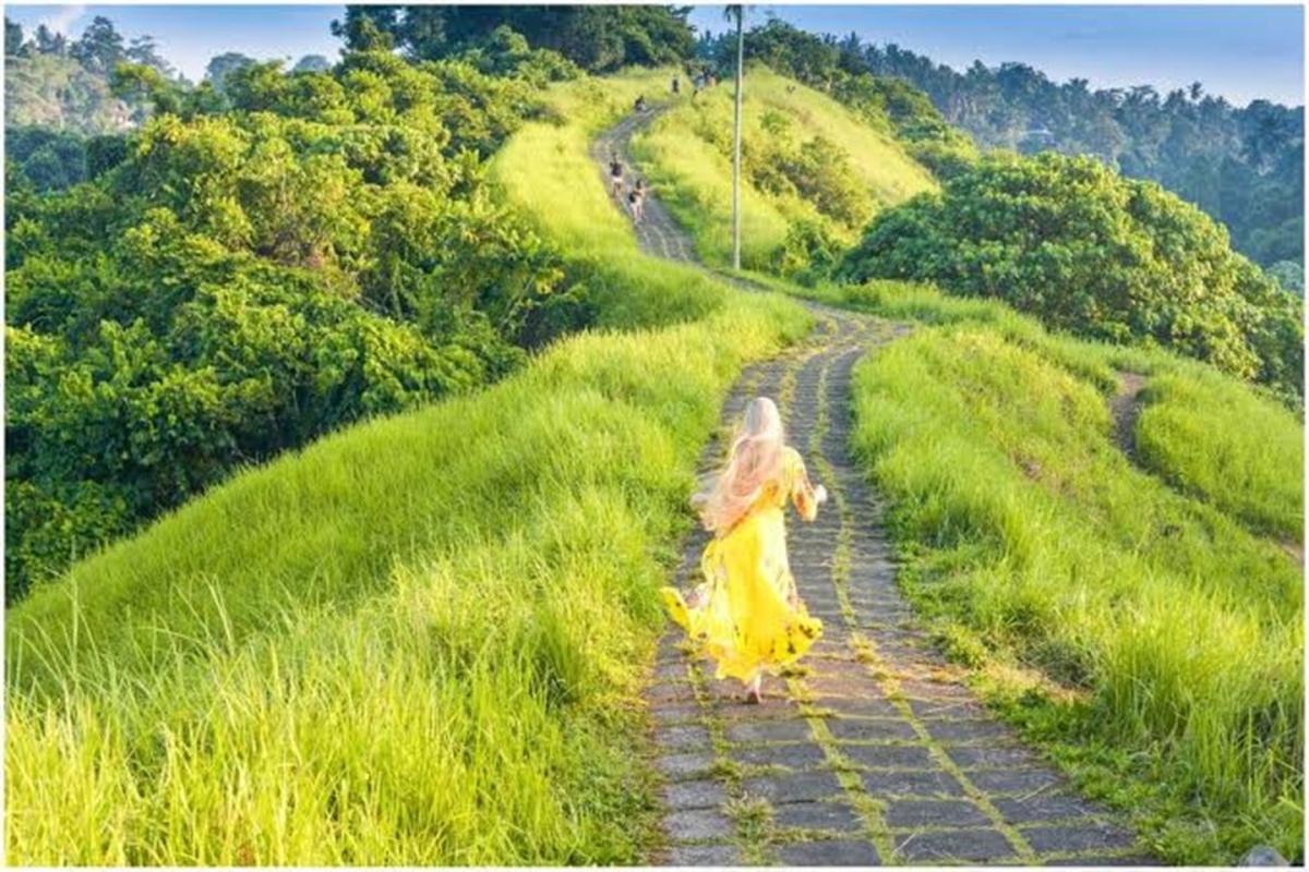 Bali Ubud Day Tour