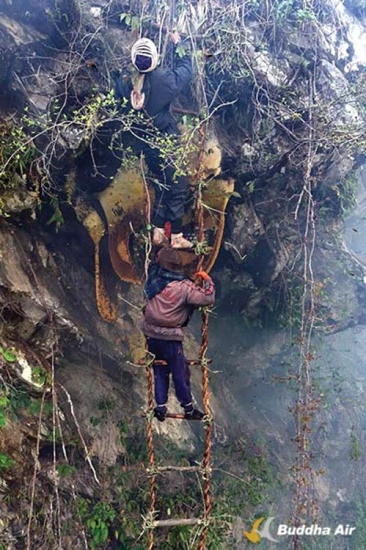 4 Day Nepal Wild Honey Hunting & Gurung Village Cultural Tour