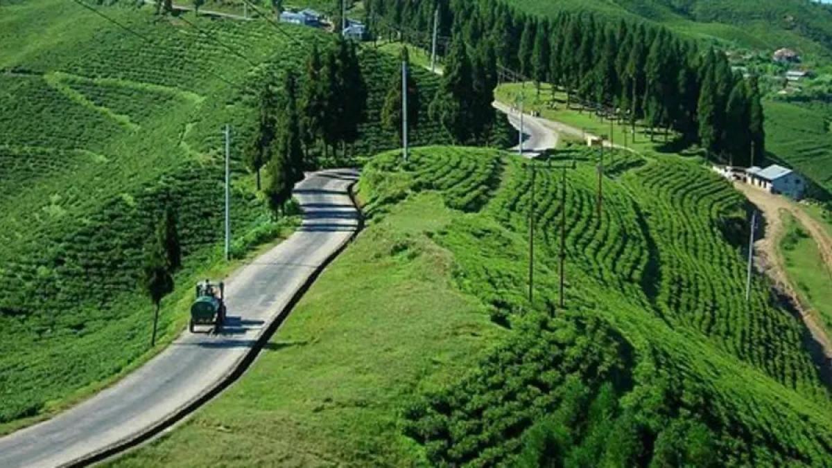 1-Week Exclusive Ilam Arts, Culture & Tea Retreat 1-Week Exclusive Ilam Arts, Culture & Tea Retreat