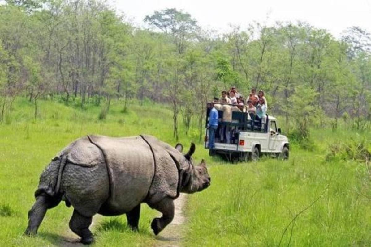 1-Day Chitwan Safari Tour from Kathmandu by Flight