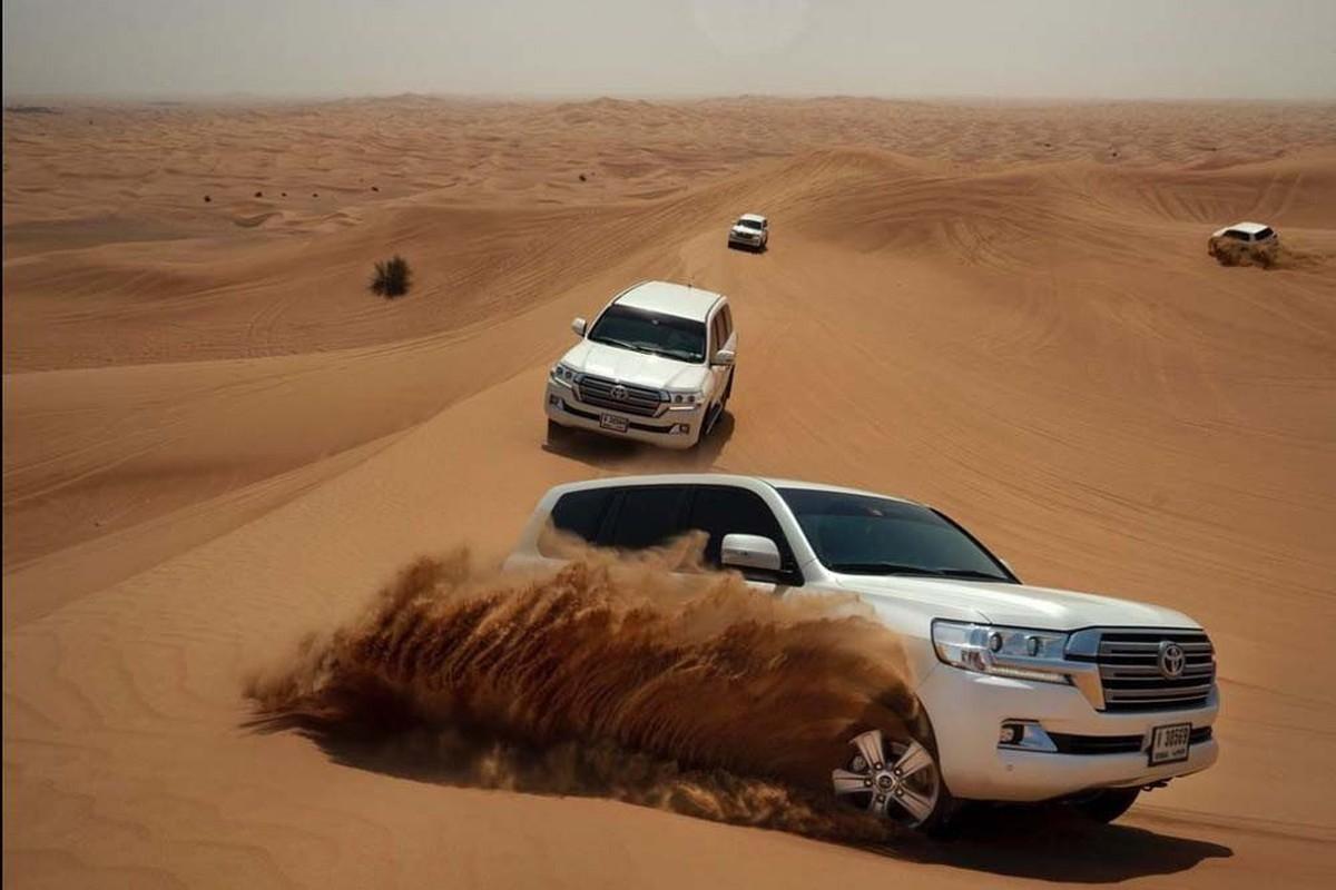 8 Day Private Western Desert Expedition: Cairo, Oases & Luxor