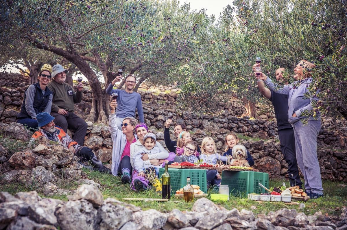 7-Day Aegean Village Life: Olive Harvest, Local Markets & Shared Tables