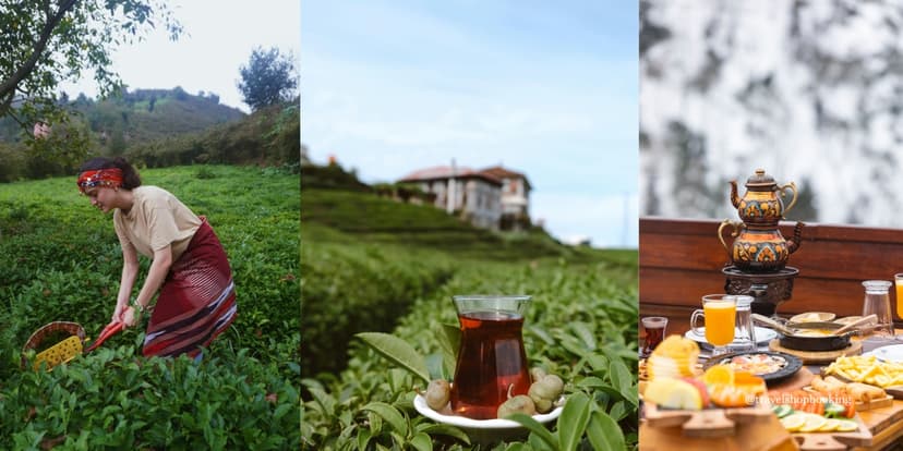 7-Day Black Sea Tea & Table: A Nature and Culinary Journey 2