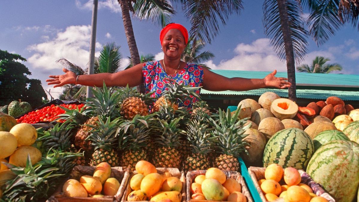 9-Day Dominican Republic Southwest Expedition with National Geographic Explorer Topher White
