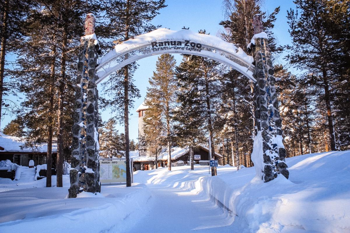 Ranua Wildlife Park Day Trip from Rovaniemi with Buffet Lunch