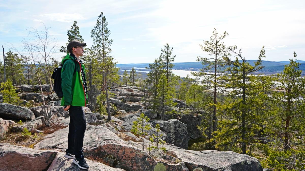 Aavasaksa Hill & Övertorneå Sweden Day Tour from Rovaniemi