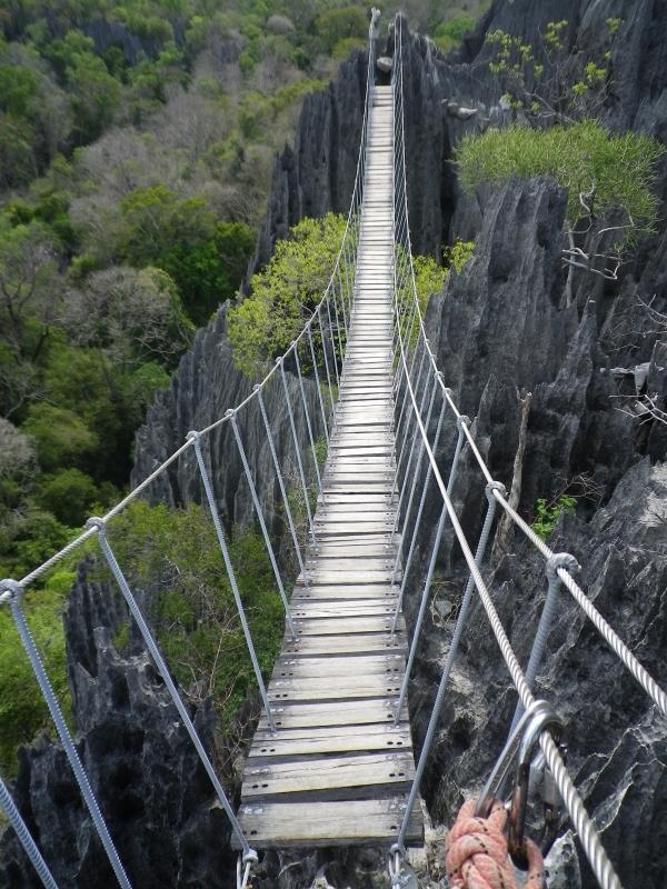 Madagascar 4-Day Private Tour: Bemaraha Tsingy, Avenue of the Baobabs & Kirindy Forest Madagascar 4-Day Private Tour: Bemaraha Tsingy, Avenue of the Baobabs & Kirindy Forest