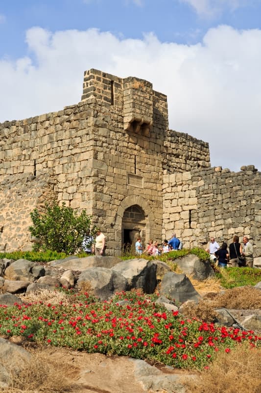 Discover Jordan 8D ays 7 Nights 2