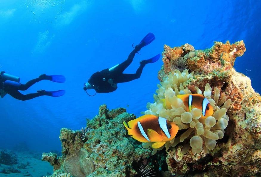 Daily Alanya Diving in the Mediterranean Sea Tour