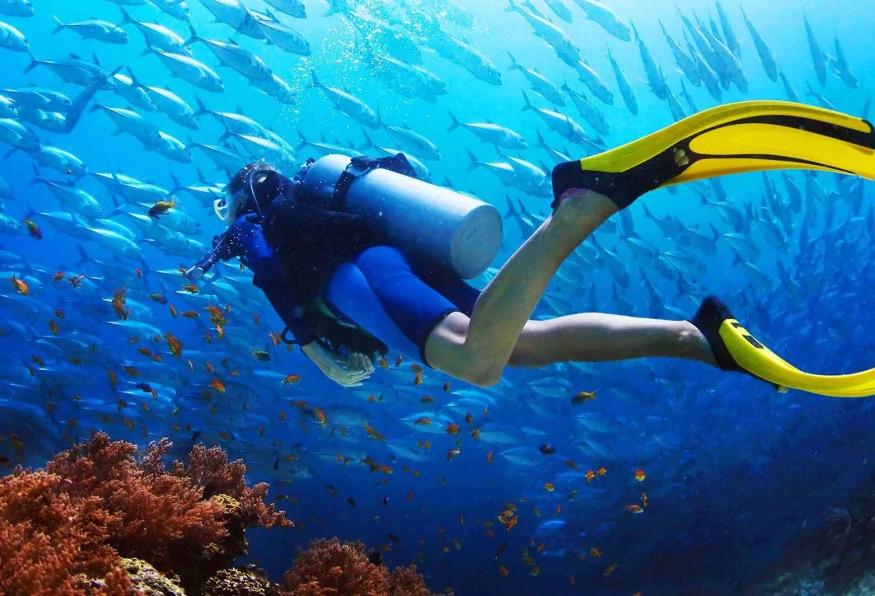 Daily Scuba Diving Tour from Belek