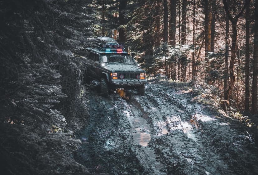 Daily Yenice Forest Nature Tour 4