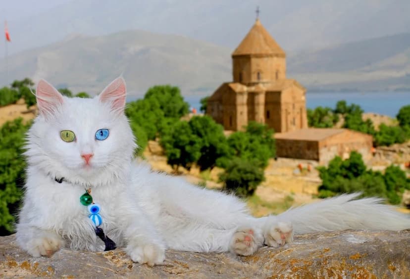 Daily Akdamar Island & Van Lake Tour from Bitlis 4