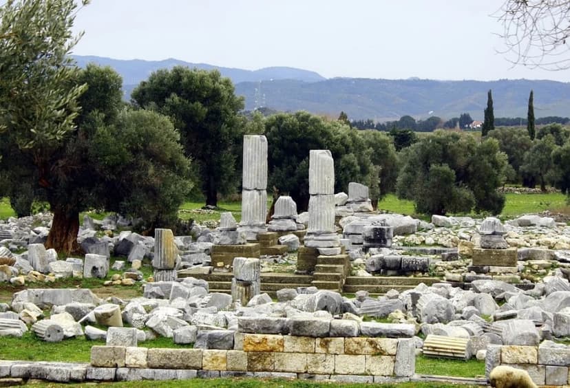 Daily Teos Ancient City & Sigacik Tour from Didim 2