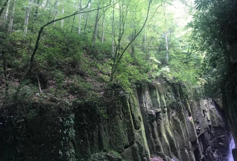 Daily Zonguldak Waterfalls & Shopping Tour 3