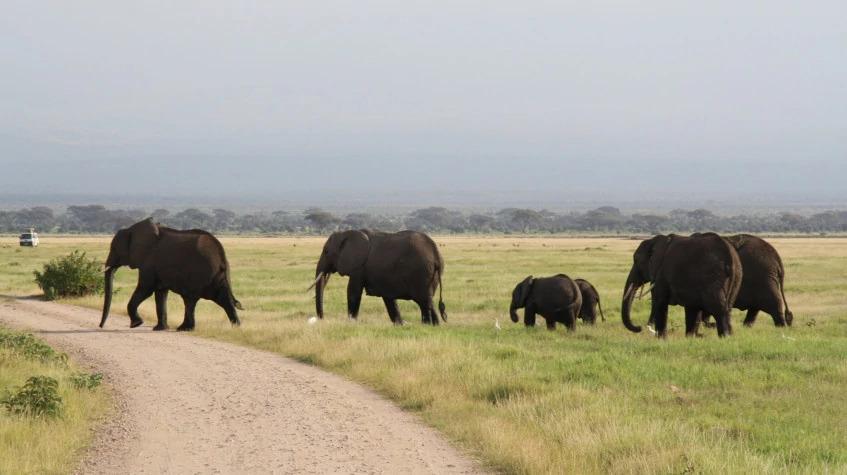 3 Days Samburu Kenya Adventure Safaris