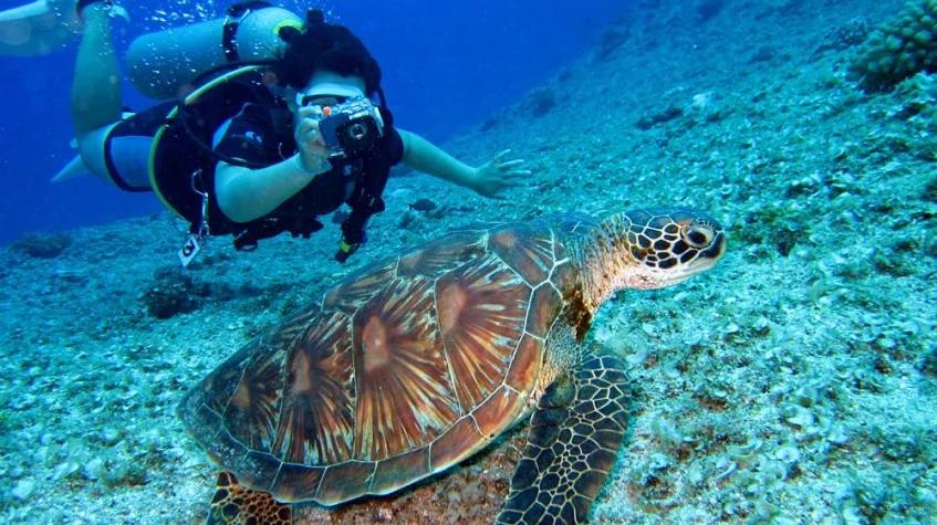 Daily Dalyan Diving Tour