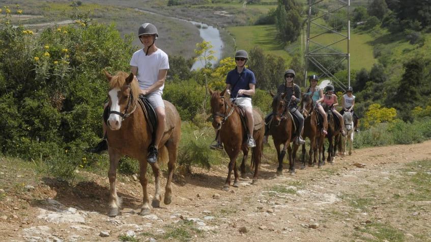 Daily Didim Horse Safari Tour