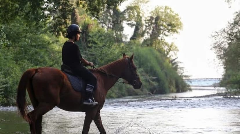 5 Days Horse Riding Package Bodrum Tour 2