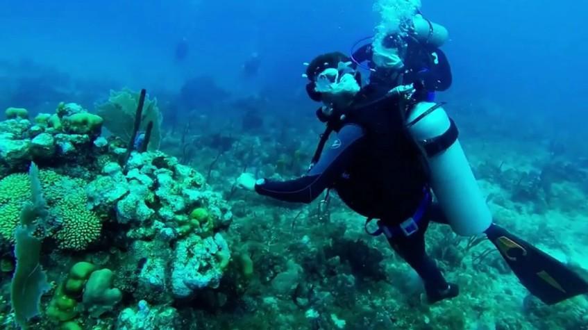 5 Days Istanbul Scuba Diving Tour