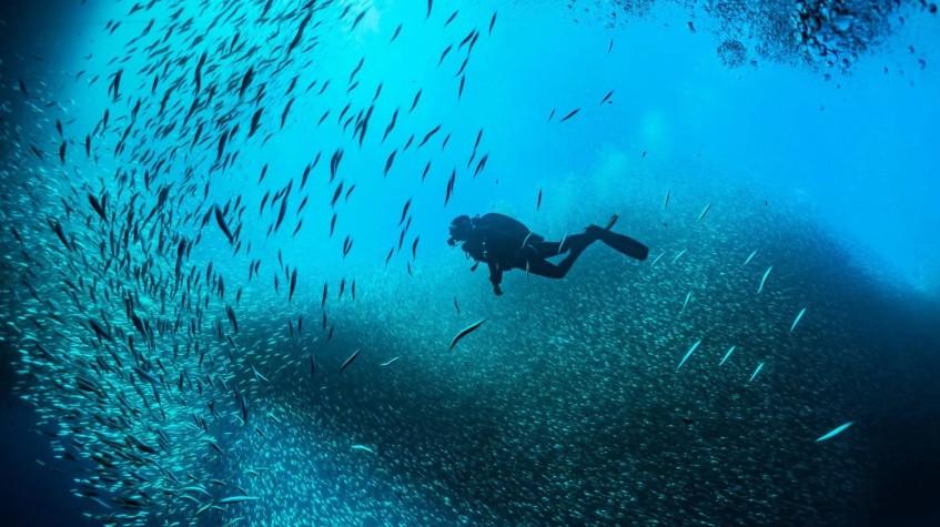 Daily Diving Tour from Alanya