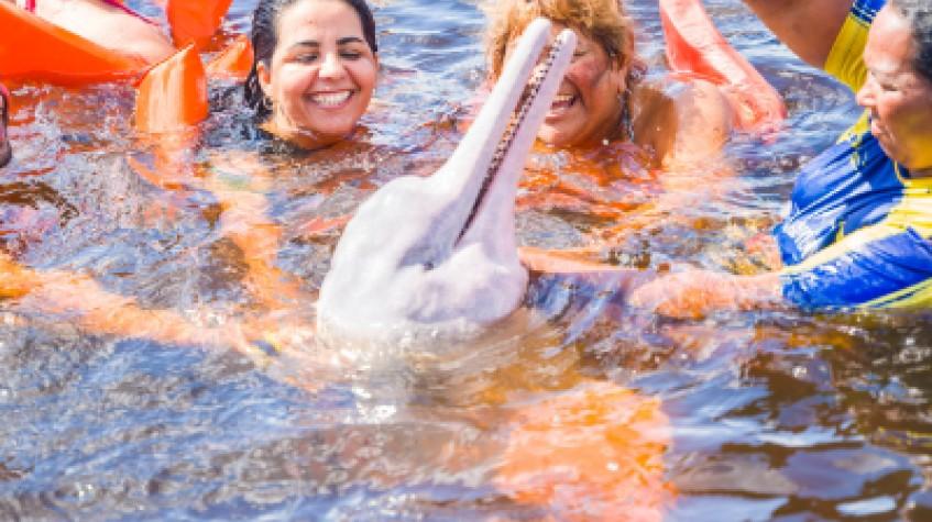 Combo: Swimming With Dolphins, Indigenous Village and Meeting of the Waters