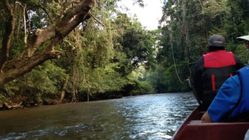 2 Days 1 Night Taman Negara Rainforest Tour Night Jungle Walk