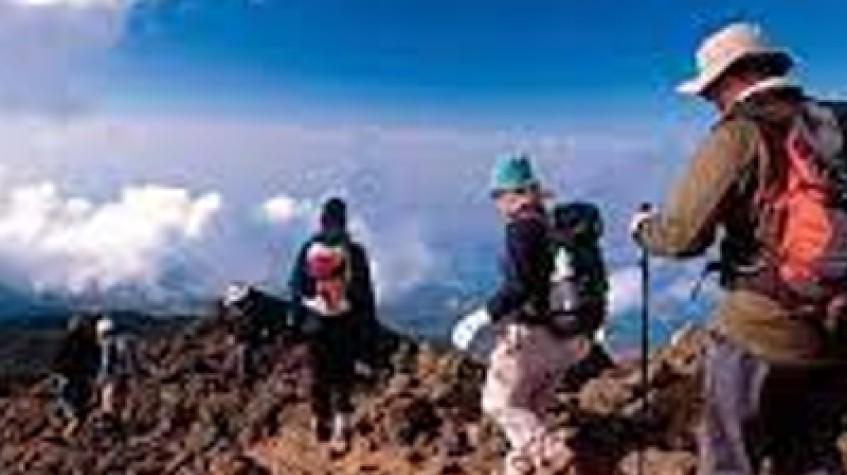 7 Days Shira Route Kilimanjaro Climb 7 Days Shira Route Kilimanjaro Climb