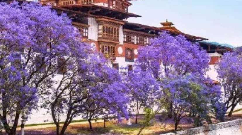 6 Nights 7 Days Bhutan Festival Tour 2024 3