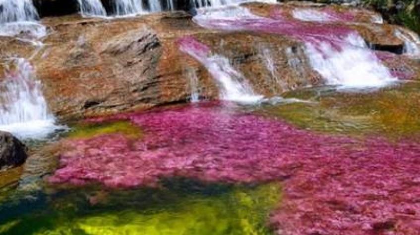 3 Days Caño Cristales Tour from Bogota Rainbow River Adventure