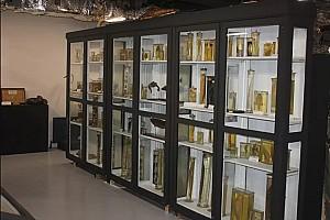 Istanbul Zoology Museum 4