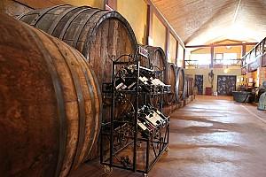 Kutman Wine Museum 1