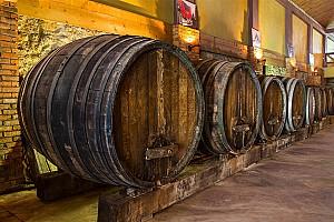 Kutman Wine Museum 7