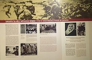 Sakarya Museum 11, 