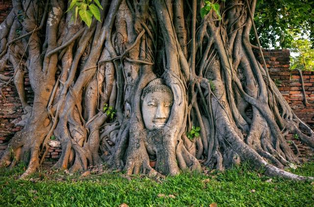Ayutthaya Afternoon Tour with Sunset Boat Ride