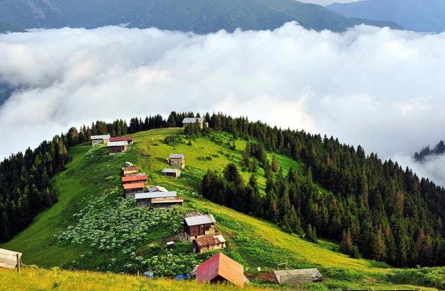 Daily Pokut - Sal Plateau Tour from Trabzon