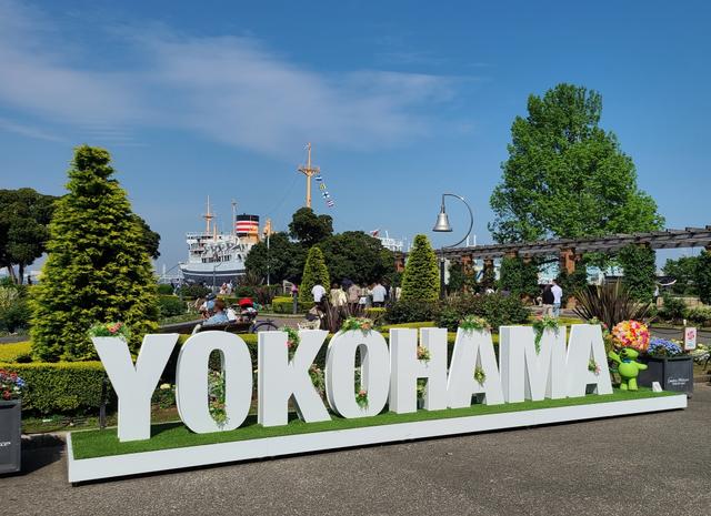 Shore Excursion Yokohama by Private Vehicle with Licensed Guide