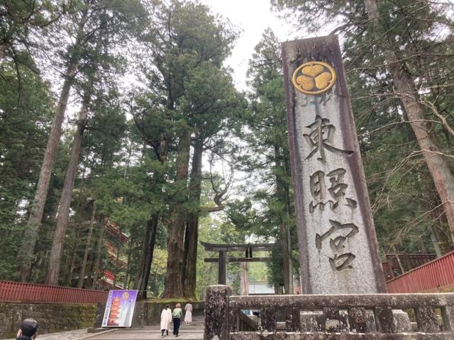 Nikko Tour from Tokyo with Licensed Guide via Private Car