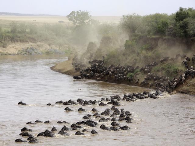 Magical Kenya Safari