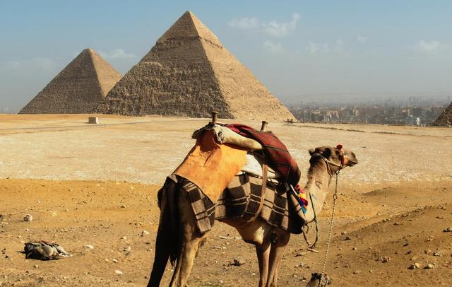 The Pyramids of Egypt: A Timeless Wonder