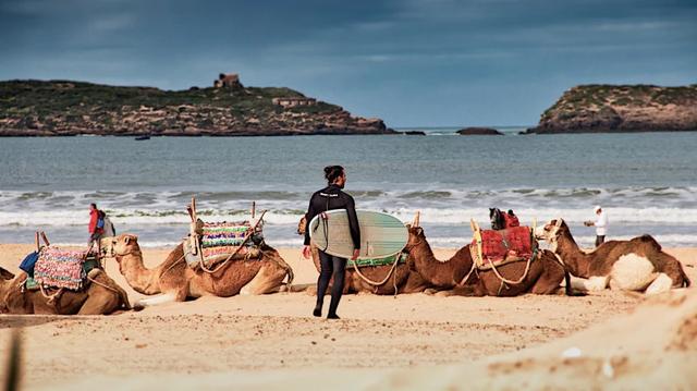 Royal Cities & Essaouira from Marrakech