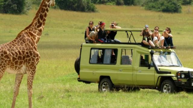 3 Days Masai Mara Budget Group Joining Safari