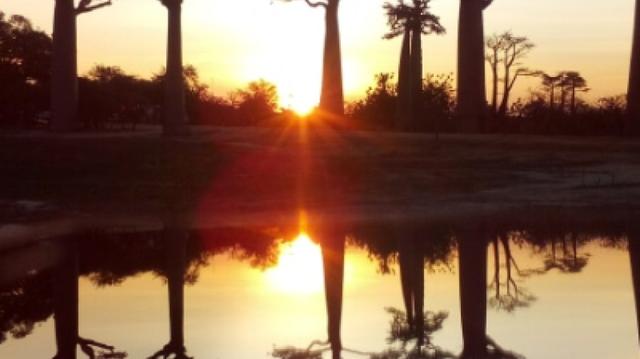 Baobabs Discovery 04Days/03Nights